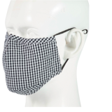 Reusable mask