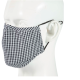 Reusable mask