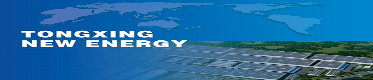 dongguan rising sun new energy technology co. ltd