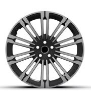 19 Size 5*114.3 Cast Aluminum Wheels with Alloy Rim Forged Alloy Wheel