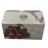 Vegetable and Fruit Packing Carton Tray Paper Packaging Mailer Box