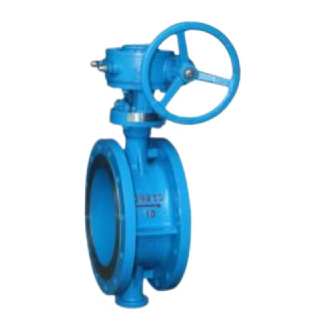 Worm Gear Flange Butterfly Valve