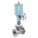 Pneumatic Gate Valve