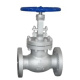 API Flanged Globe Valve