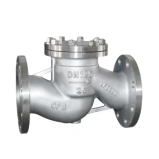 Lift Check Valve
