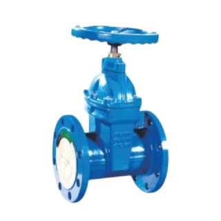 Soft Sealing Gate Valve
