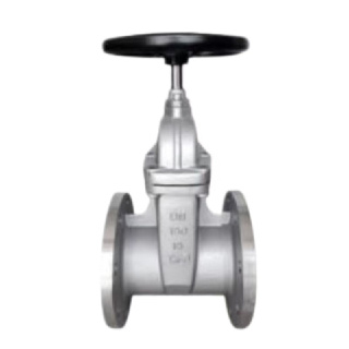 Stainless Steel Soft Seal Dark Stem Gate Valve