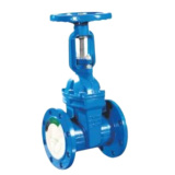 Rising Stem Soft Seal Gate Valve