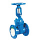 Rising Stem Soft Seal Gate Valve