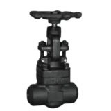 Forged Steel Butt Welded Globe Valve