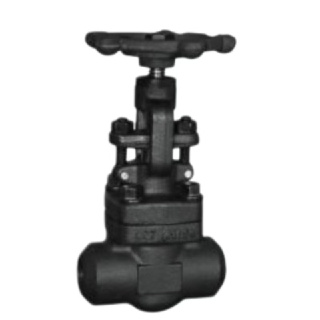 Forged Steel Butt Welded Globe Valve