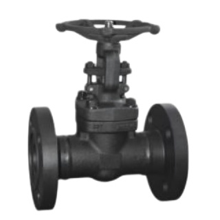 Forged Steel Flanged Gate Valve