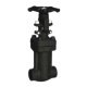Bellows Gate Valve