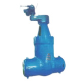 Power Station Gate Valve