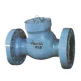 Power Station Check Valve