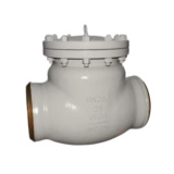 Welded Check Valve