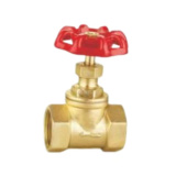 Brass Globe Valve