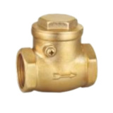 Brass Check Valve